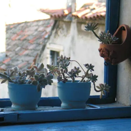 Stone Town Bed & Breakfast