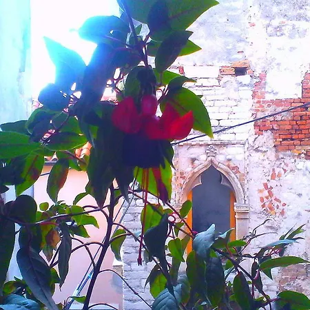 Nocleg ze śniadaniem Stone Town 3*