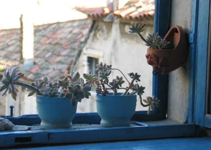 Stone Town Отель типа 