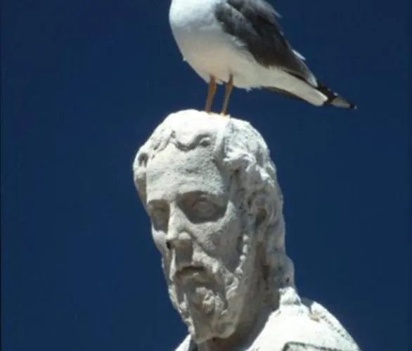 Stone Town 3* Šibenik