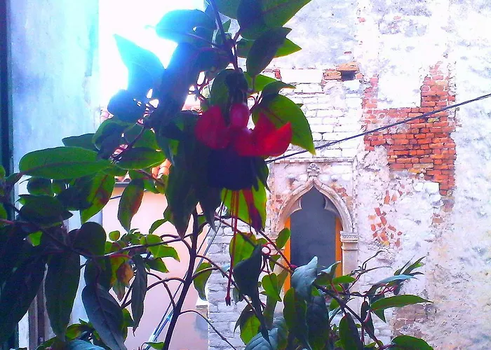 Bed and breakfast Stone Town 3*